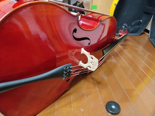 cello.jpg