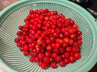 cherry.jpg