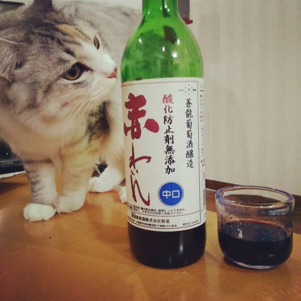 https://kumachabin.net/kumachabin/archives/2018/11/25/wine.jpg